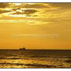 Fort Kochi Beach